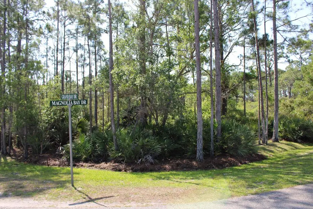 278 Magnolia Bay Dr, Eastpoint, FL 32328 - #1