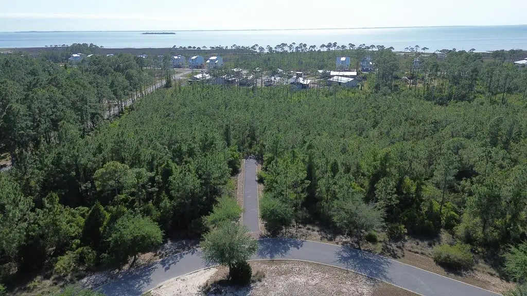 115 Shallow Reed Dr, Port Saint Joe, FL 32456 - #1