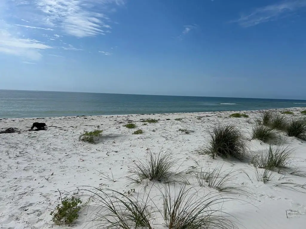 114 Cocina Rd, Carrabelle, FL 32322 - #1