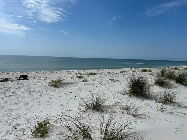 114 Cocina Rd, Carrabelle, FL 32322