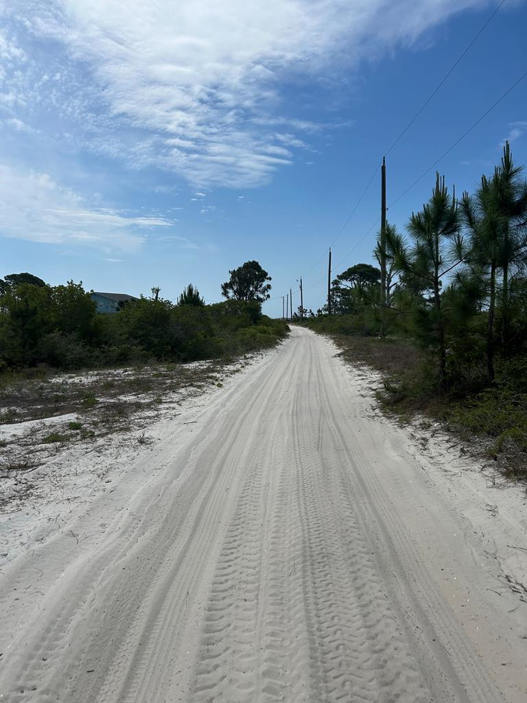 114 Cocina Rd, Carrabelle, FL 32322 - #2
