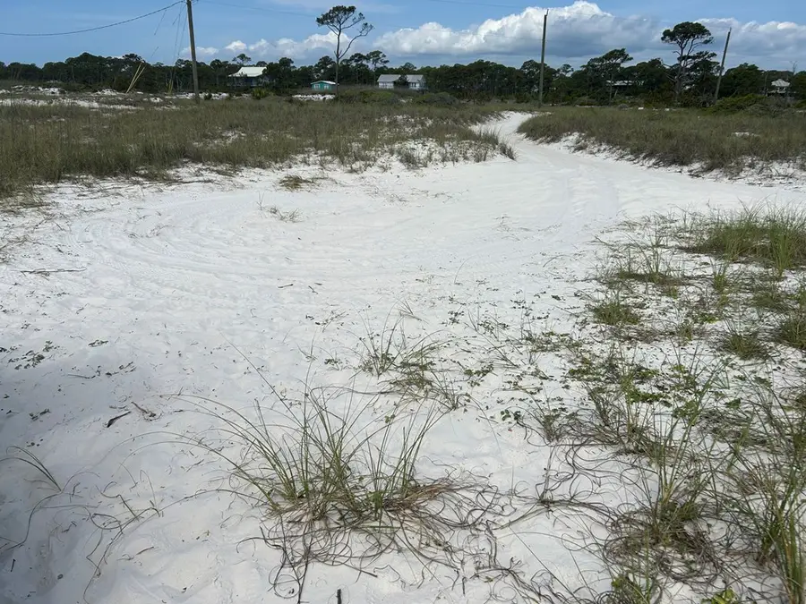 114 Cocina Rd, Carrabelle, FL 32322 - #3