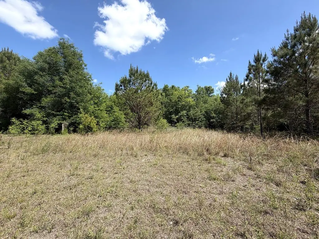 5581 Hwy 71 S, Wewahitchka, FL 32465 - #1