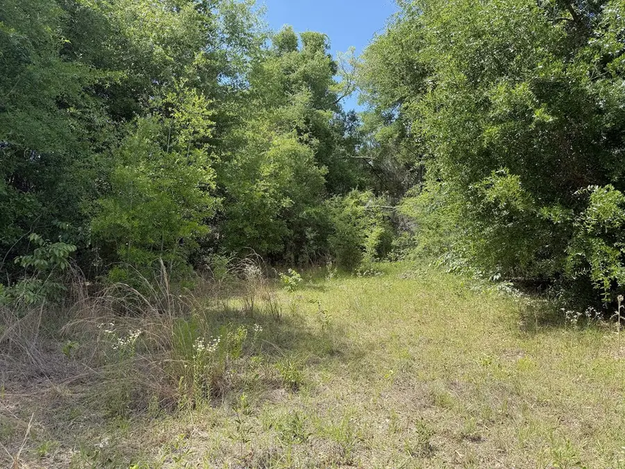 5581 Hwy 71 S, Wewahitchka, FL 32465 - #3
