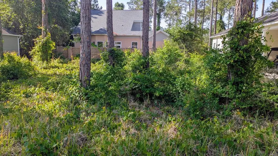 122 Skimmer Dr, Carrabelle, FL 32322 - #2