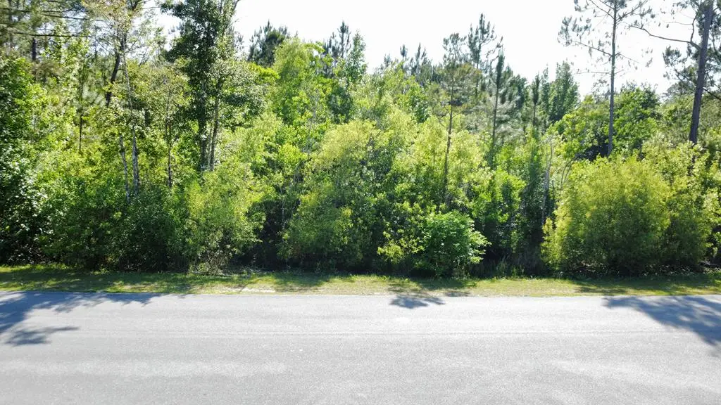 Lot 1 Old Bay City Rd, Wewahitchka, FL 32465 - #1