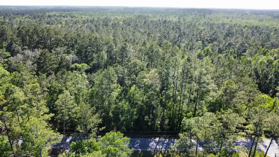 Lot 1 Old Bay City Rd, Wewahitchka, FL 32465 - #3