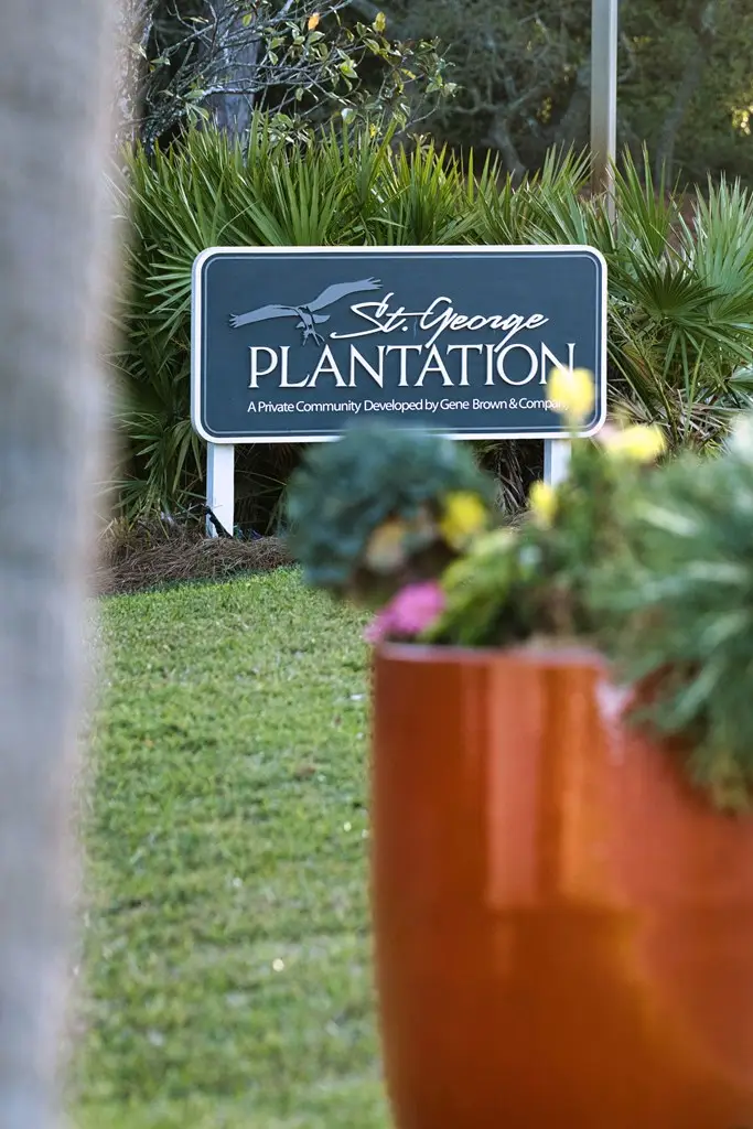 2020 Whelk Way, Saint George Island, FL 32328 - #3