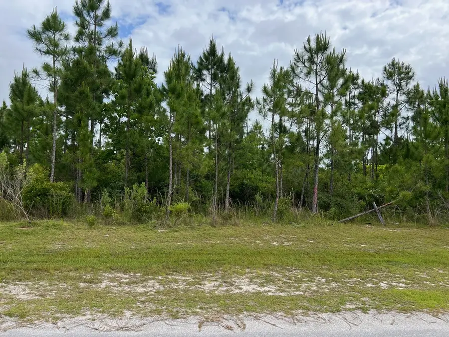 103 Torrey Pine Trl, Wewahitchka, FL 32465 - #2