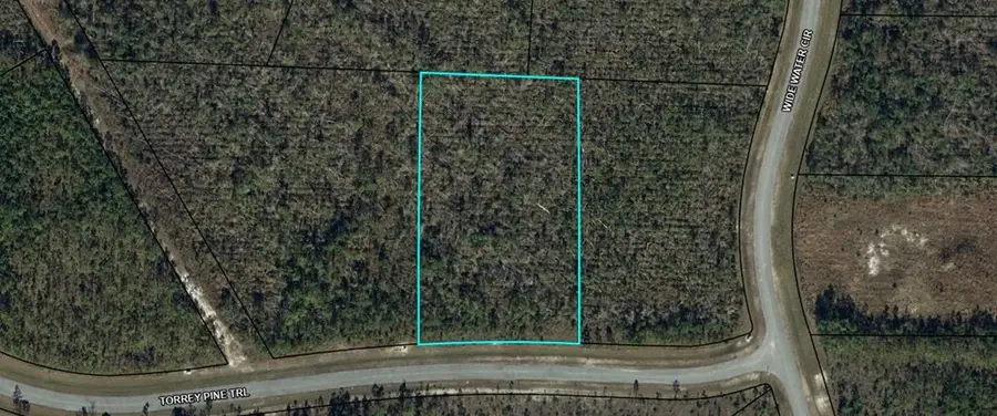 103 Torrey Pine Trl, Wewahitchka, FL 32465 - #3