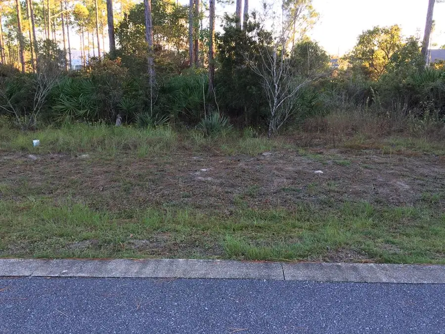 Lot 21 Magnolia Dr, Mexico Beach, FL 32456 - #2