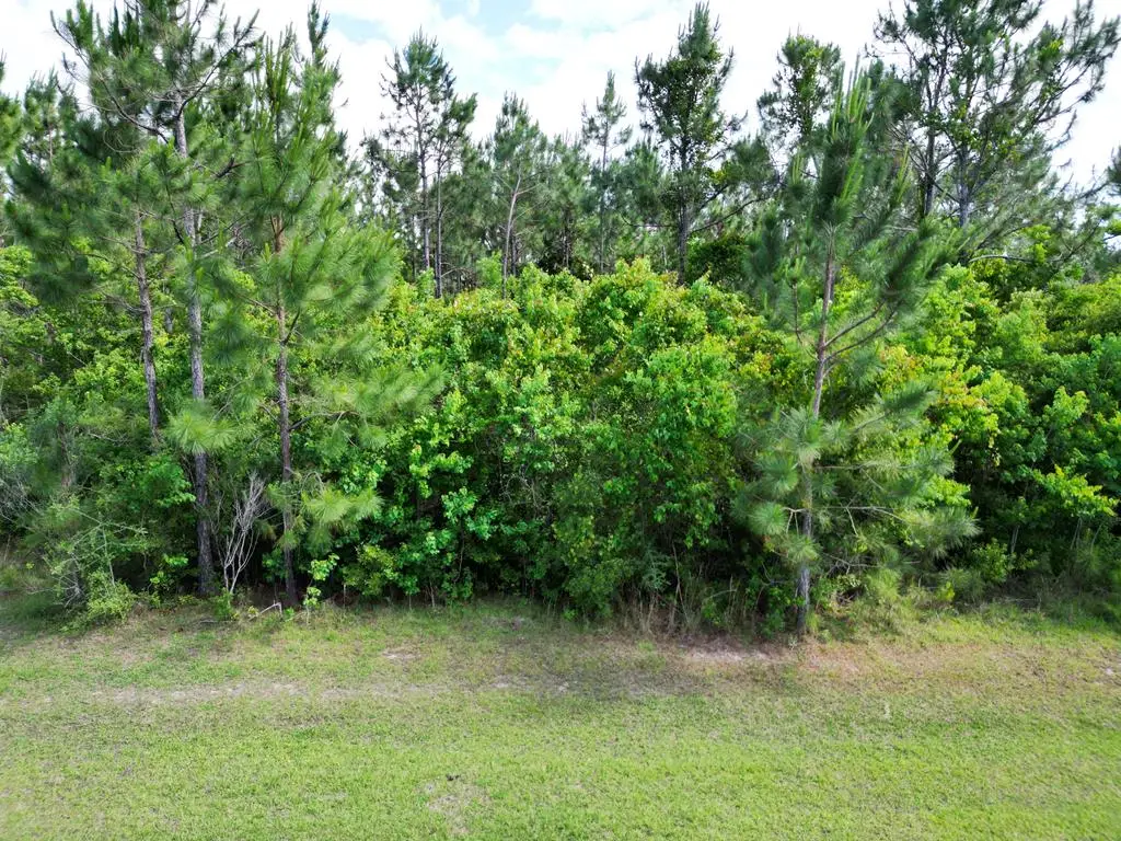 110 Torrey Pine Trl, Wewahitchka, FL 32465 - #1