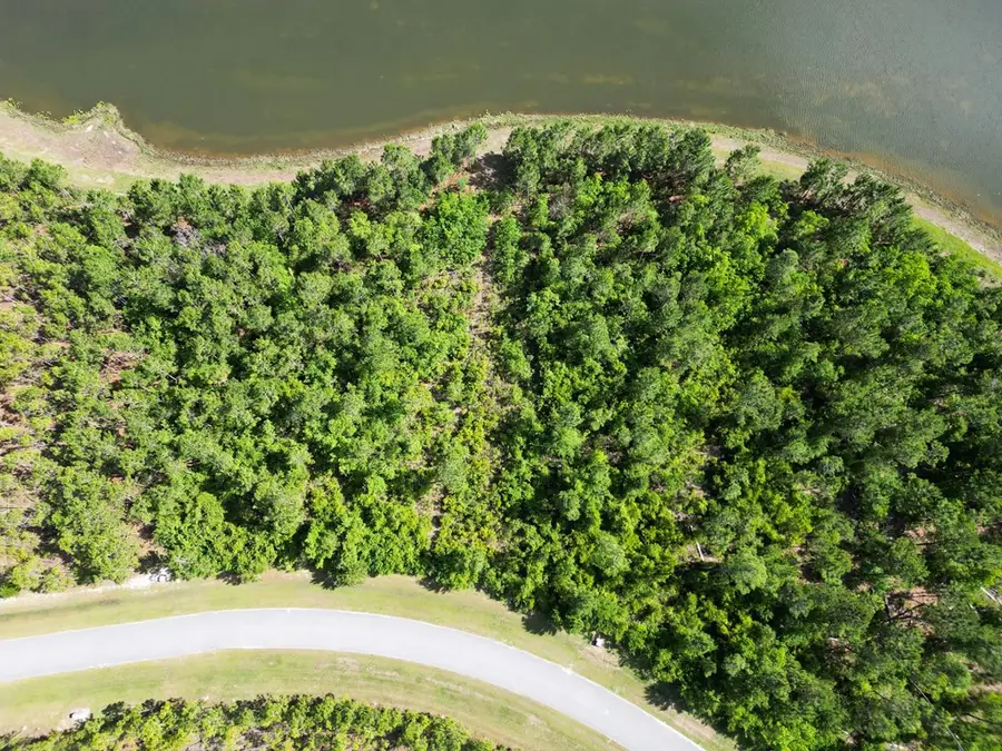 110 Torrey Pine Trl, Wewahitchka, FL 32465 - #3