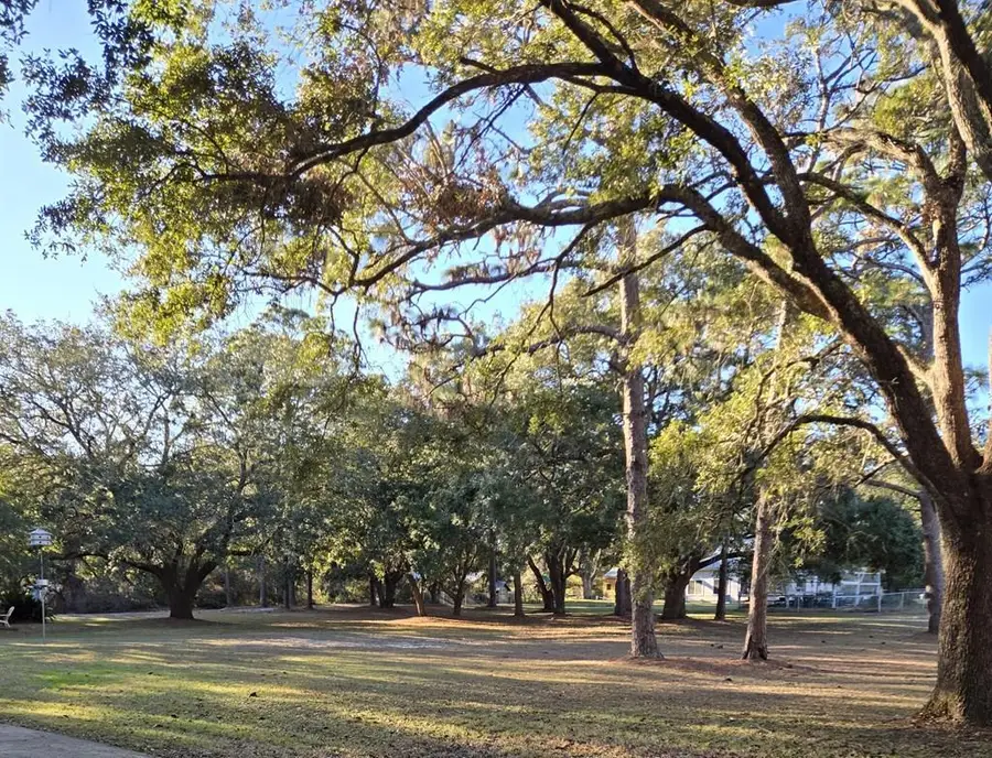 Lot 10 Craig St, Carrabelle, FL 32322 - #2