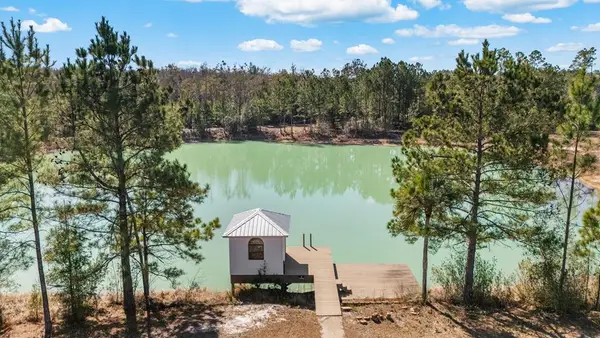 250 Blake Dr, Wewahitchka, FL 32465
