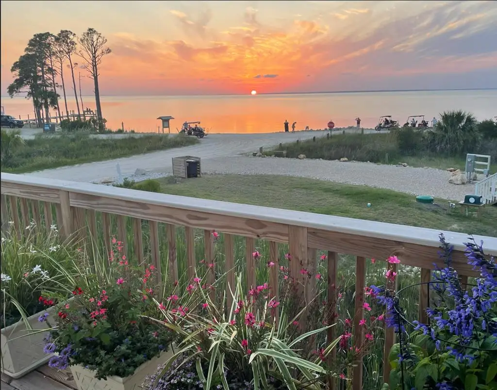 339 Nedley St, Saint George Island, FL 32328 - #1