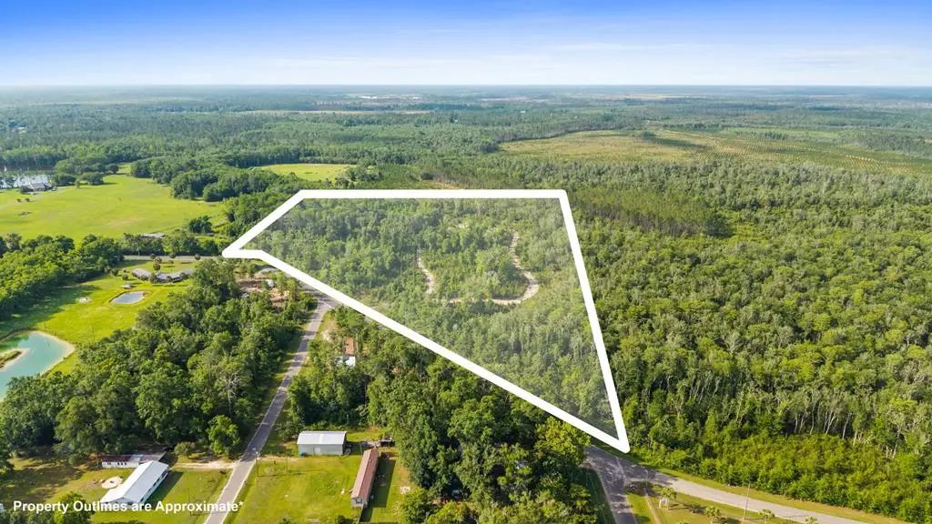 TBD Old Dairy Farm Rd, Wewahitchka, FL 32465 - #1