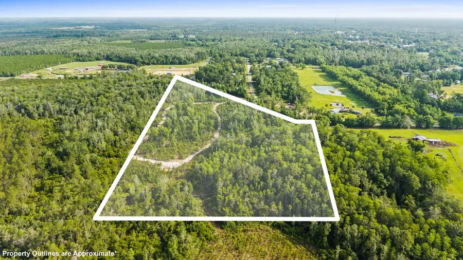 TBD Old Dairy Farm Rd, Wewahitchka, FL 32465 - #2