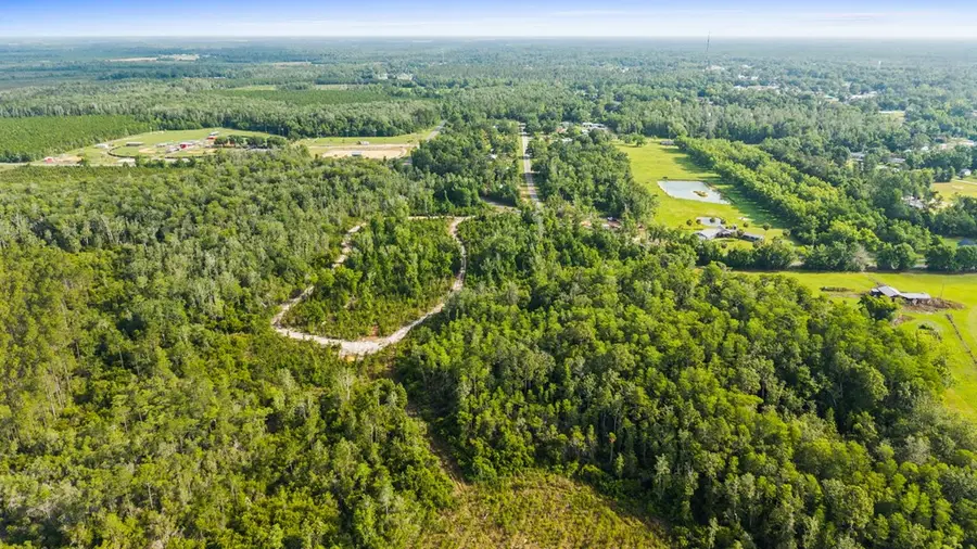 TBD Old Dairy Farm Rd, Wewahitchka, FL 32465 - #3