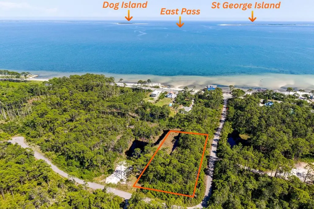 125 Bay Magnolia Ln, Carrabelle, FL 32322 - #1