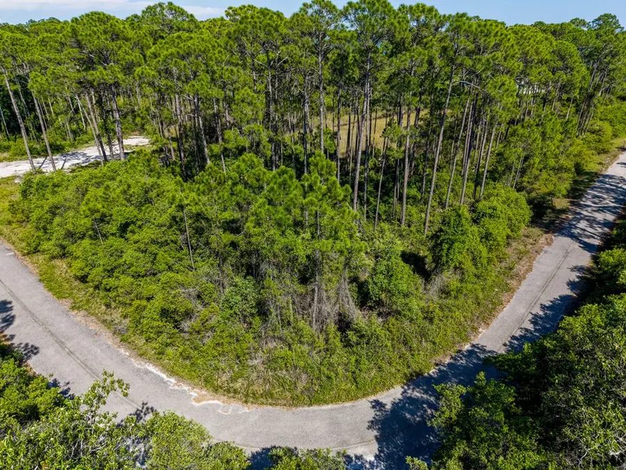 125 Bay Magnolia Ln, Carrabelle, FL 32322 - #3