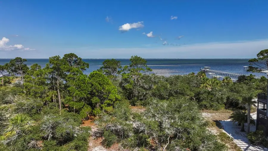 124 Pinnacle Dr, Port Saint Joe, FL 32456 - #2