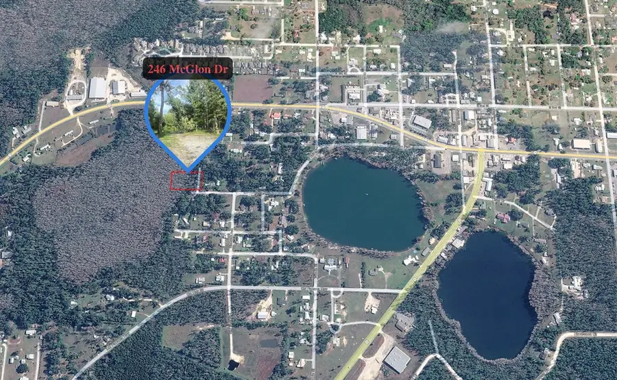 246 Mcglon Dr, Wewahitchka, FL 32465 - #2