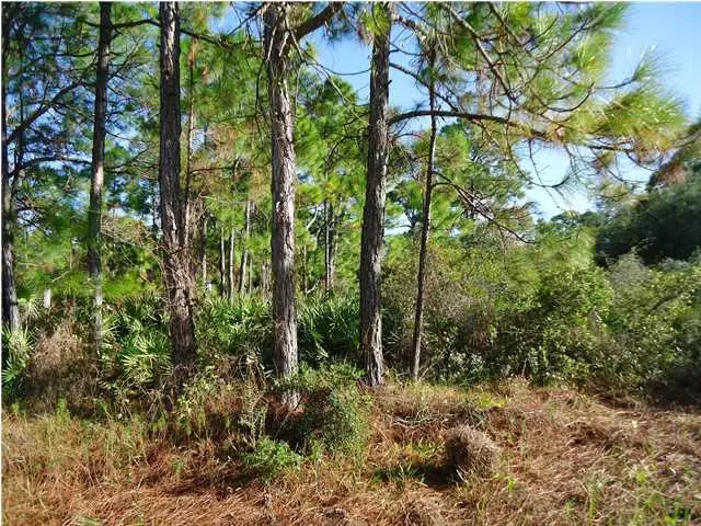 1012 Porter St, Saint George Island, FL 32328 - #1