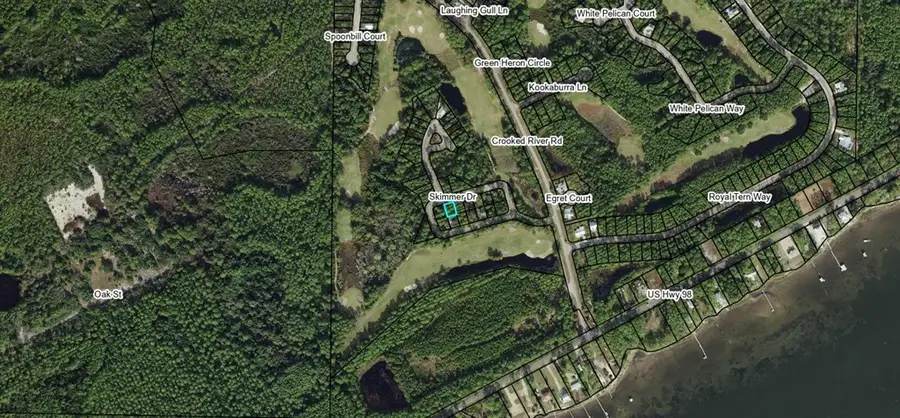 130 Skimmer Dr, Carrabelle, FL 32323 - #3