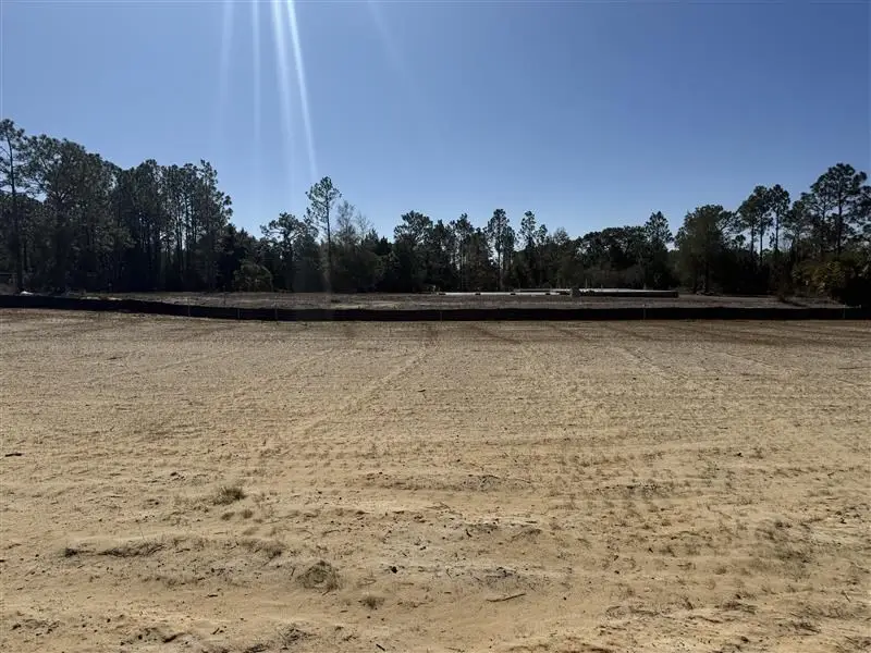 325 Coastal Canopy Ln, Port Saint Joe, FL 32456 - #2