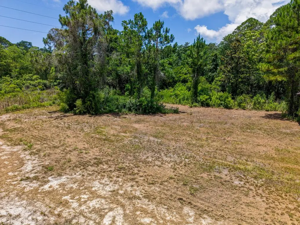 1103 Copesetic St, Carrabelle, FL 32322 - #1
