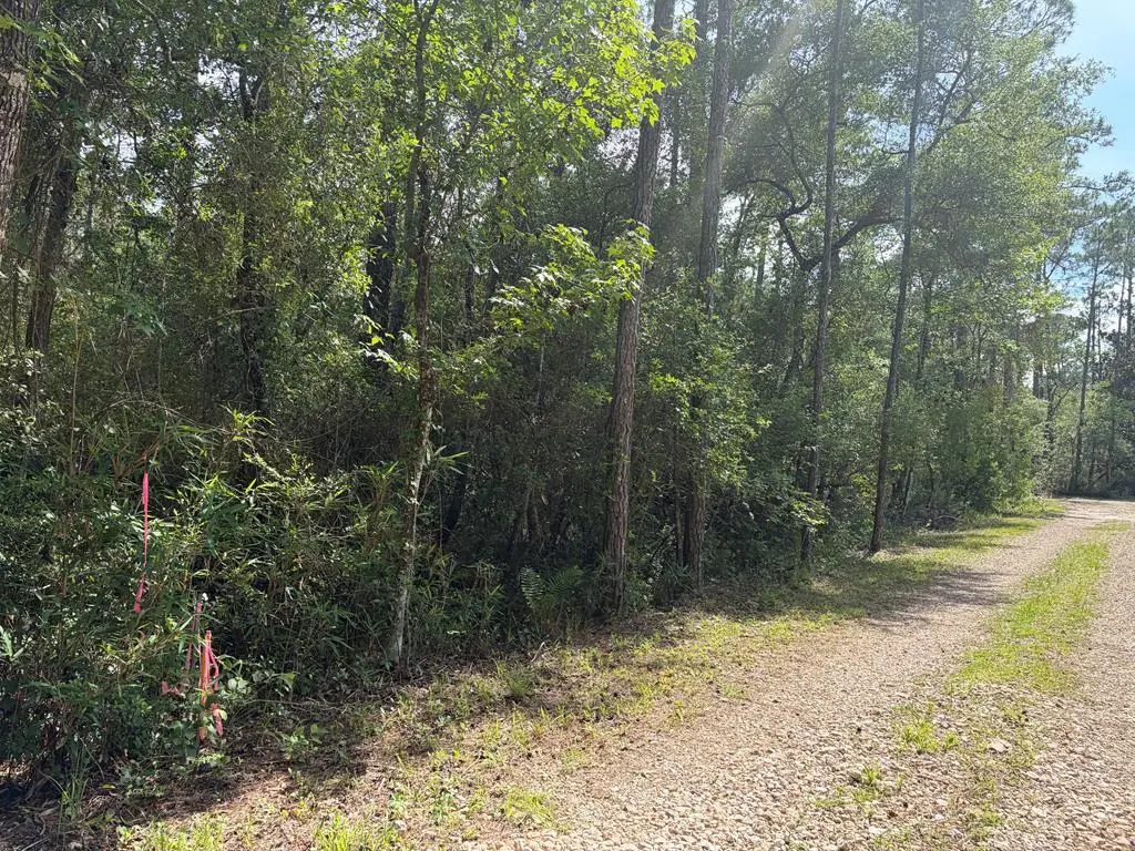 Lot 18 Pamela Pl, Sopchoppy, FL 32358 - #1