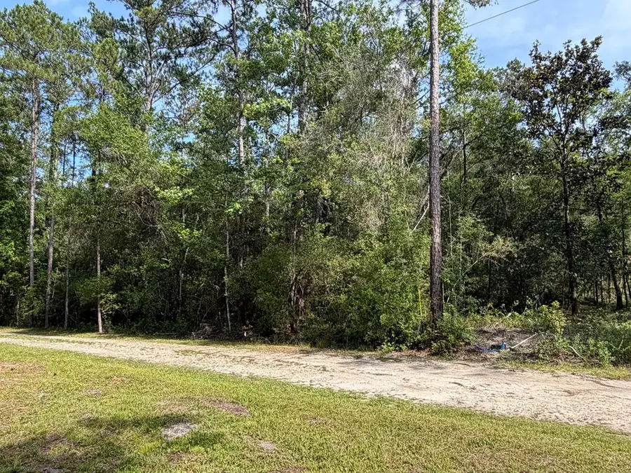 Lot 18 Pamela Pl, Sopchoppy, FL 32358 - #2