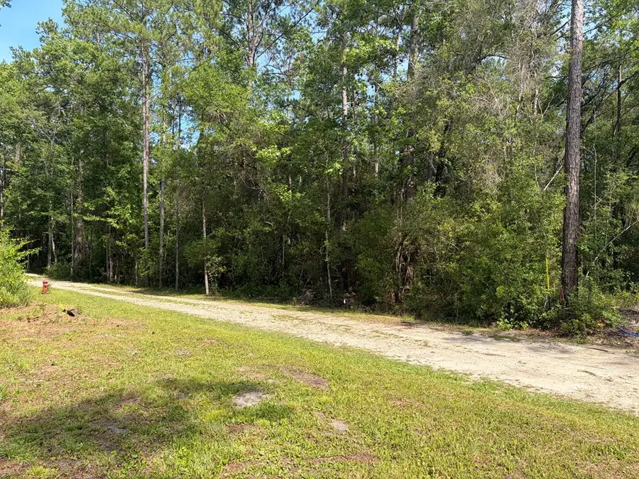 Lot 18 Pamela Pl, Sopchoppy, FL 32358 - #3