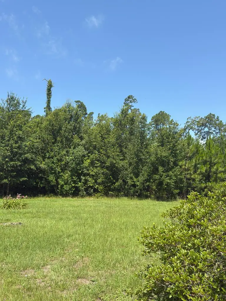 Lot 2 Oak Grove Ave, Port Saint Joe, FL 32456 - #3