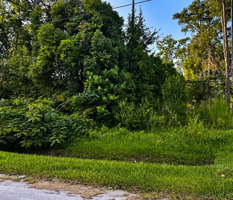 Lot 10 Chipola Ave, Wewahitchka, FL 32465 - #3