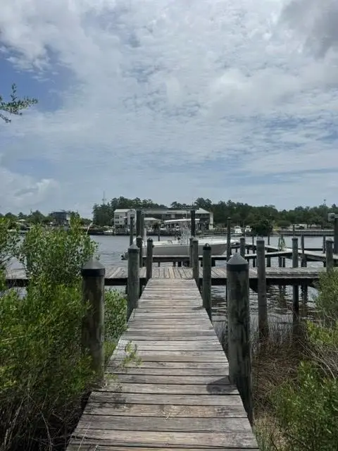 341 Sandalwood Trc, Carrabelle, FL 32322 - #3