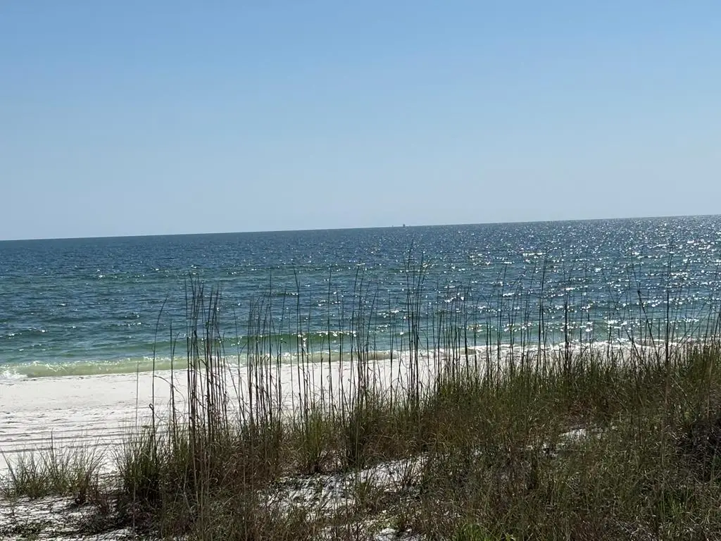 8890 Hwy 98 W, Port Saint Joe, FL 32456 - #1