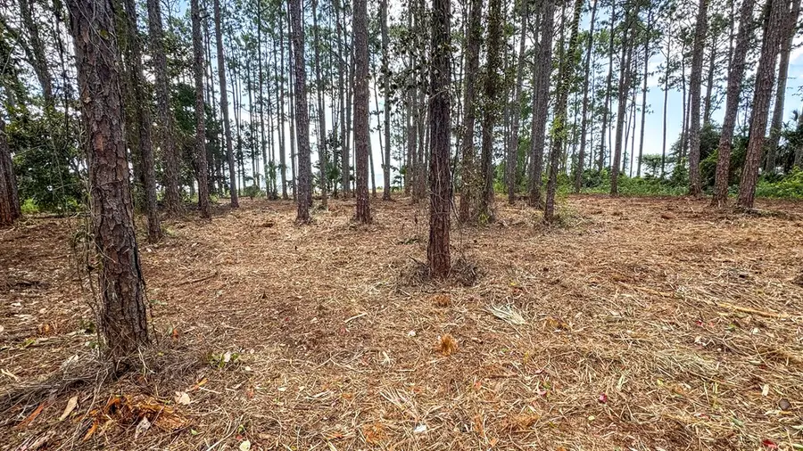 2506 Hwy 98 E, Carrabelle, FL 32322 - #2