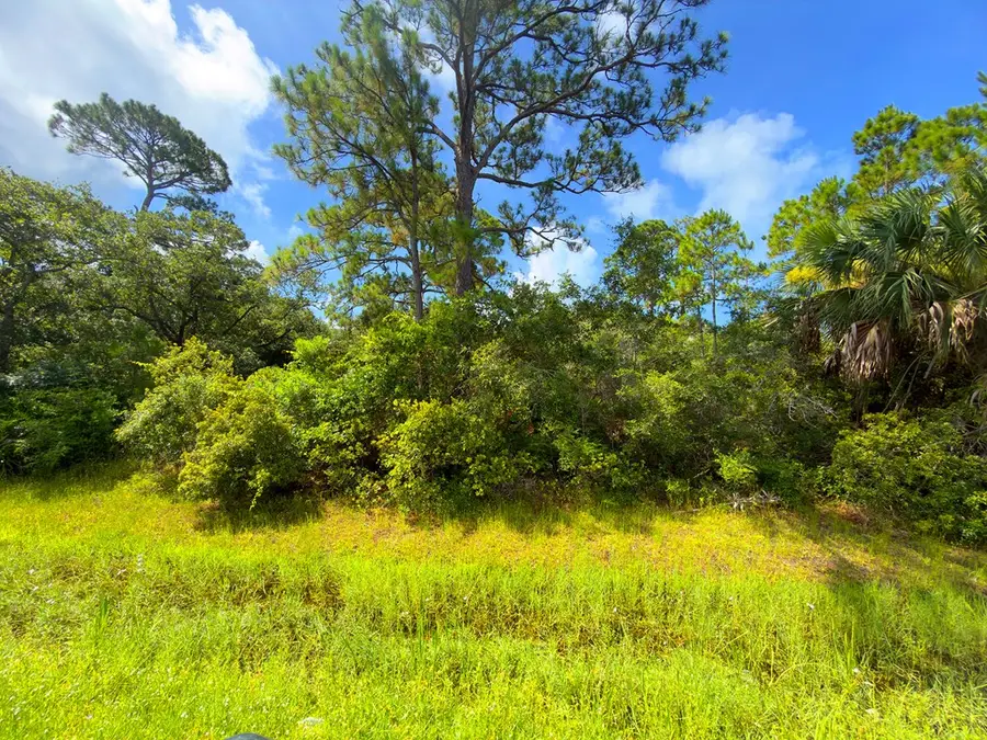 Lot 2 Cape San Blas Rd, Cape San Blas, FL 32456 - #3