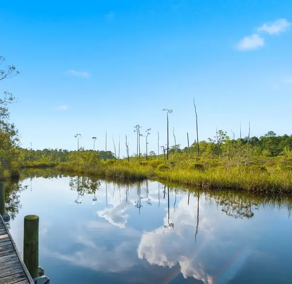 1921 Hwy 65, Eastpoint, FL 32328