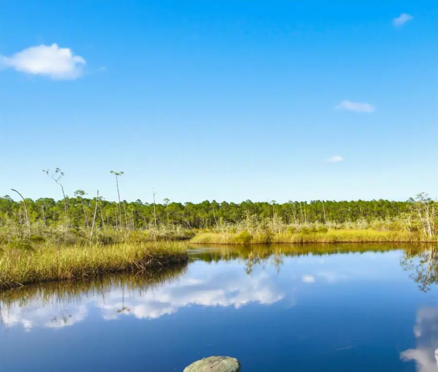1921 Hwy 65, Eastpoint, FL 32328 - #3