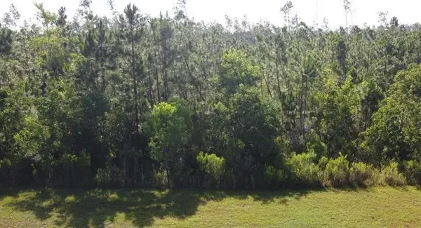817 Wide Water Cir, Wewahitchka, FL 32465