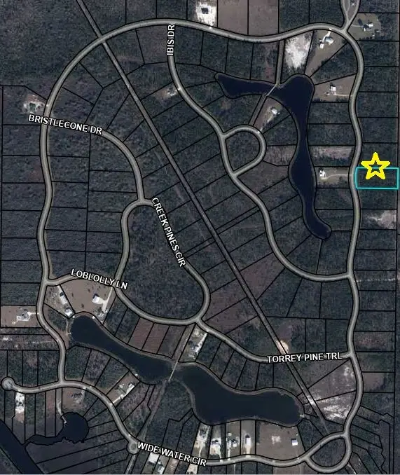 817 Wide Water Cir, Wewahitchka, FL 32465 - #2