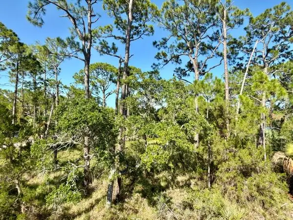 1028 Porter St #UNIT 5 BL 78, St. George Island, FL 32328