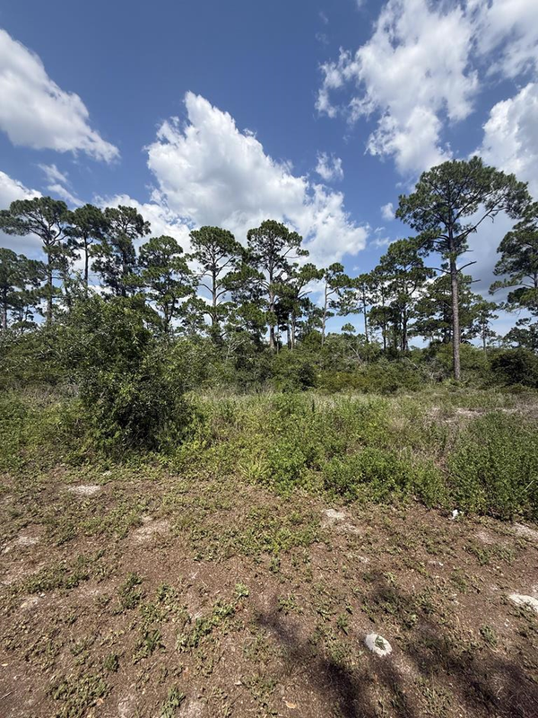 504 Tide Water Dr, Port St. Joe, FL 32456