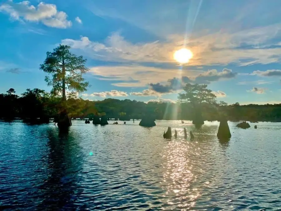 1522 Stone Mill Creek Rd, Wewahitchka, FL 32465 - #3