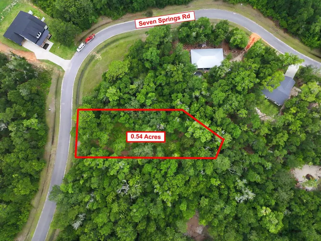 229 Seven Springs Rd, Wewahitchka, FL 32465 - #1