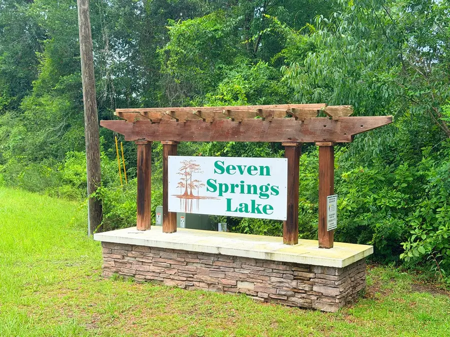 229 Seven Springs Rd, Wewahitchka, FL 32465 - #3