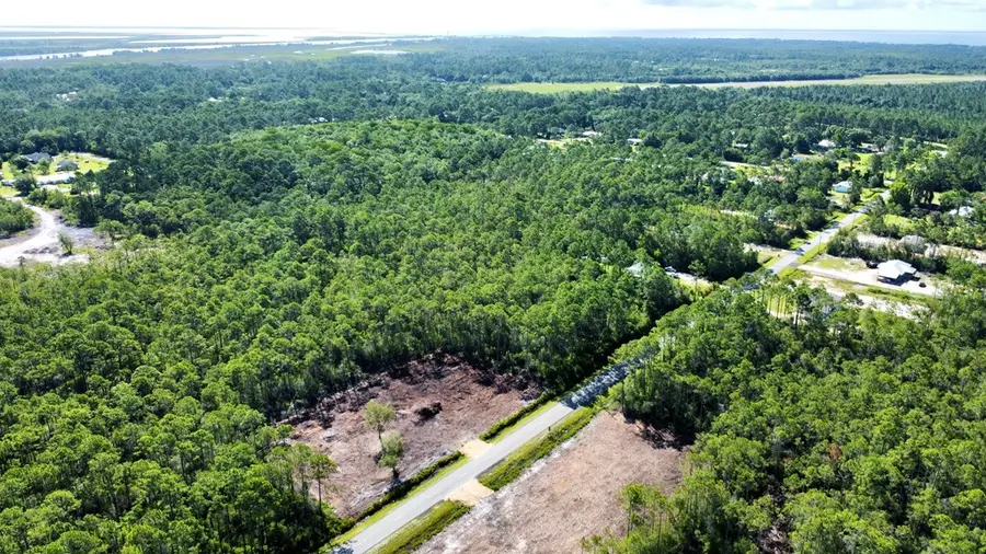 Lot 56S Peachtree Rd, Apalachicola, FL 32320 - #3